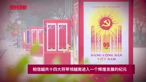 相信越共十四大将带领越南进入一个辉煌发展的纪元【视频】