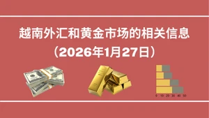 越南外汇和黄金市场的相关信息【图表新闻】