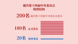 越共第十四届中央委员会组织结构【图表新闻】