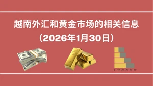 越南外汇和黄金市场的相关信息【图表新闻】