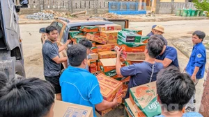 胡志明市人民积极参与救灾工作。