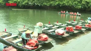 宁平省多处名胜荣获猫途鹰殊荣【视频】