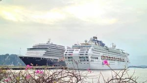 下龙国际客运港可同时接待两艘总吨位超过20万吨的邮轮。