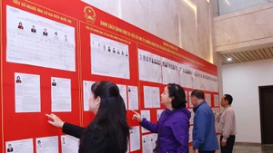 人们在河内第十三号选举单位查看候选人名单。（图片来源：越通社）