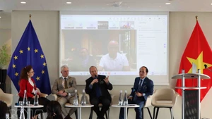 研讨会共设四场专题讨论会，近20名来自越南和欧洲的演讲者参与。（图片来源：越通社）