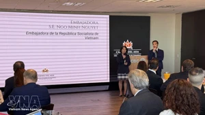 越南驻阿根廷大使吴明月在研讨会上发言。（图片来源：越通社）