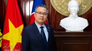 越南驻安哥拉特命全权大使杨政职。（图片来源：越通社）