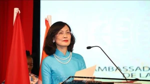 越南驻摩洛哥特命全权大使黎金龟。（图片来源：越通社）