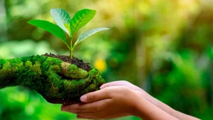 附图。（图片来源：互联网）