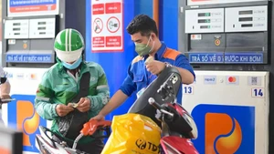 附图。（图片来源：互联网）