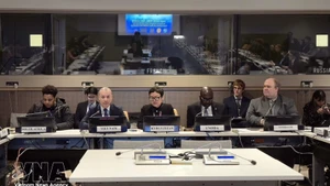 越南常驻联合国代表团临时代办、公使阮黄原在会上致辞。（图片来源：越通社）