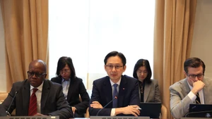 越南常驻联合国代表团团长、《不扩散核武器条约》第十一次审议大会候任主席杜雄越大使在联合国日内瓦办事处主持与各地区及成员国的磋商活动。（图片来源：越通社）