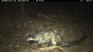 资料图。（美山世界文化遗产管理委员会供图）