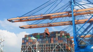 附图。（图片来源：越通社）