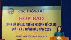 越南统计总局局长阮氏香在新闻发布会上发言。