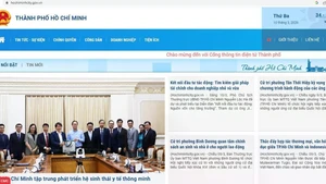 胡志明市人民委员会使用 hochiminhcity.gov.vn的域名。（截面图）