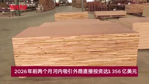 2026年前两个月河内吸引外商直接投资达3.356亿美元【视频】