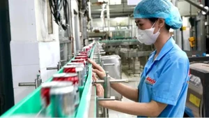 胡志明市新光明贸易有限公司（Bidrico）生产链。