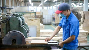 附图。（图片来源：劳动人报网）