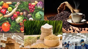 2025年前10个月越南农林水产品出口额超过580亿美元【图表新闻】