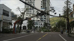 第13号台风造成严重损失。（图片来源：越通社）