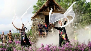 文化遗产潜力是推动林同省文化旅游发展的基础。