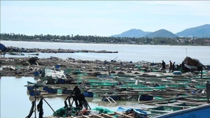 越南得乐省居民水产养殖网箱遭受严重损坏，给当地民众造成重大损失。（图片来源：越通社）