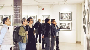 仅在11月，河内市共举行29个摄影展以及多场相关座谈会和工作坊，吸引大量国内外游客前来参观。