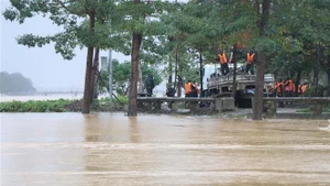 强降雨导致香江和蒲江洪水继续迅速上涨。（图片来源：越通社）