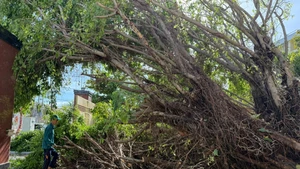 第13号台风袭击得乐省，给该省造成超1700亿越盾的损失（图片来源：得乐报网）