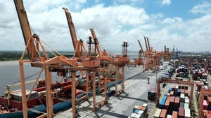 越南进出口活动持续活跃。（图片来源：越通社）