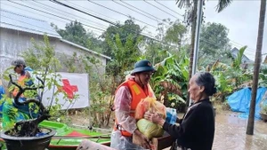 越南红十字会中央委员会向中部六省市灾民提供紧急救援。（图片来源：越通社）