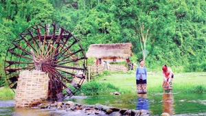 联合国教科文组织将西义安生物圈保护区（WBR）列为世界生物圈保护区。（图片来源：越通社）