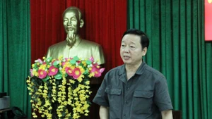 政府副总理陈红河在会上发表总结发言。（图片来源：越通社）