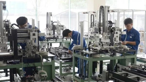 附图。（图片来源：越通社）