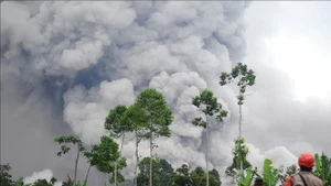 印尼塞梅鲁火山喷发。（图片来源：越通社）