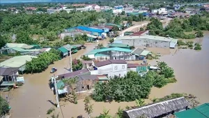 第13号台风“海鸥”造成直接经济损失约7.05万亿越盾。（图片来源：越通社）