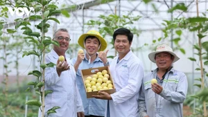 附图：越南果树行业设定2025年水果出口额超50亿美元的目标。