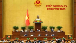 12月1日上午的讨论会场景。