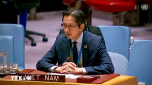越南常驻联合国代表团团长杜雄越。