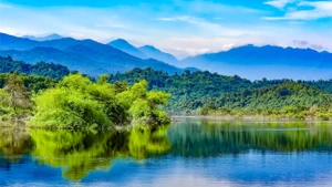 拥有越南最多样化生态系统的武光国家公园。