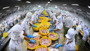 2025年前6月越南农林水产品出口总额同比增长14.3%【图表新闻】
