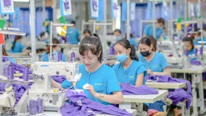 力争实现到2030年新增100万家企业。