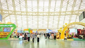 在“越南秋季“展区，各省市将带来地方特色美食。