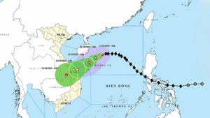 第12号台风的位置和路径。