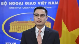 越南外交部副部长邓黄江。(图片来源:越通社)