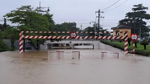 顺化市多处道路中断。(图片来源:越通社)