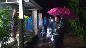 岘港市人民委员会副主席陈南兴视察受灾地区。(图片来预案:越通社)