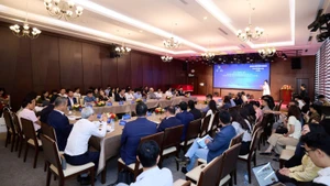 越南私营经济全景模式及执行委员会与各委员会领导班子公布仪式场景。（图片来源：信息报）