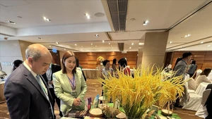 在大米贸易对接研讨会上介绍越南各种大米。（图片来源：越通社）